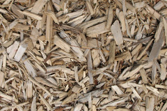 biomass boilers Smeeth